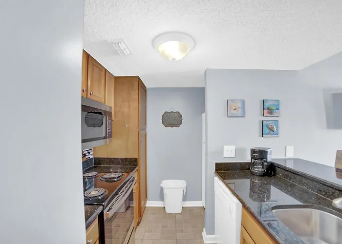 Apartment Sugar 352 By Collection
